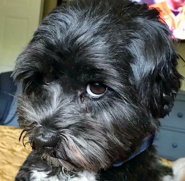 646242Ce41Cc0 280319900 728053751659414 3516289610047419994 N 700