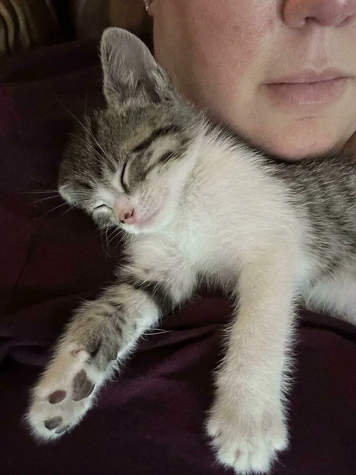 6474891Bcb378 B6Znud2Cwb2B1 700