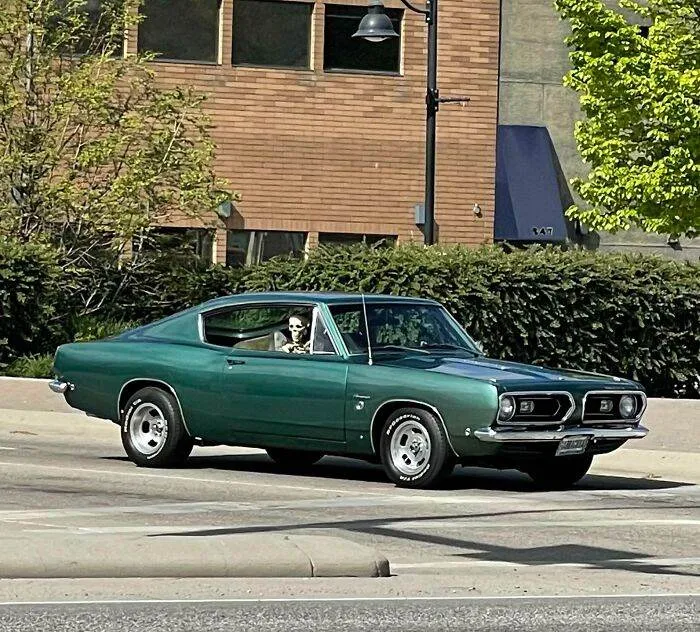 6475Fb6A67785 Funny Weird Things On The Road