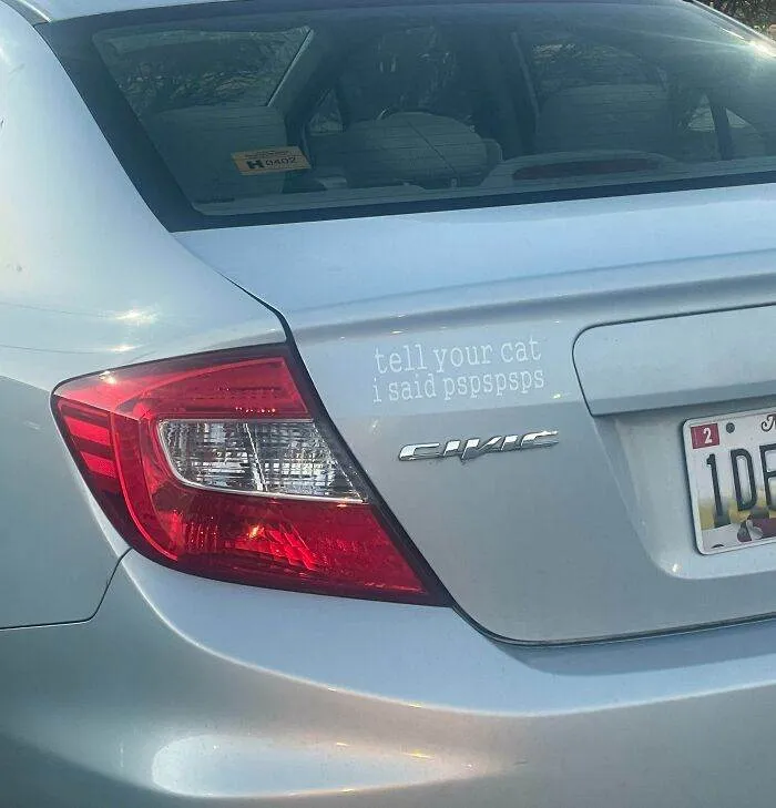 647609C5C00B6 Funny Weird Things On The Road