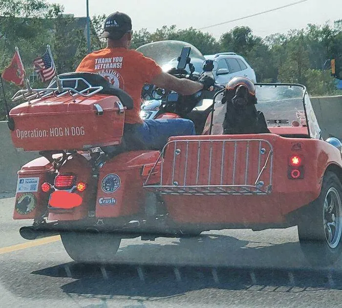 6476E3E674Ca5 Funny Weird Things On The Road