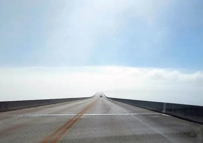 Funny Weird Things On The Road 2 6470576Cb9E9E 700