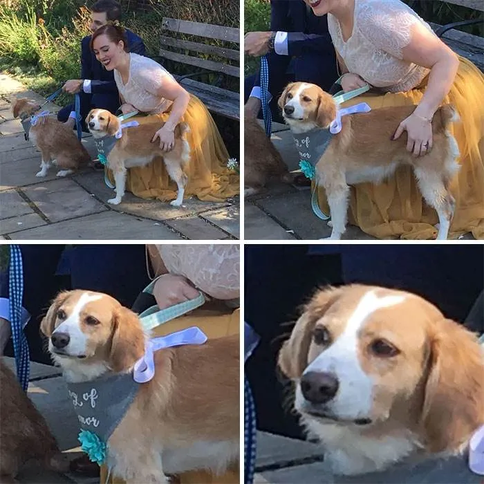 Skeptical Animal 6461E7888D286 700