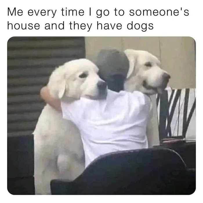 344236367 211946224908663 8676197013343126835 N 649Ab10C8Acb9 700