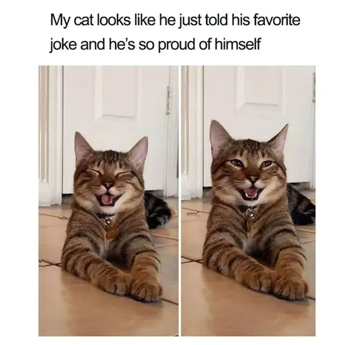 344402973 235971709029455 2364556802478687105 N 649Ab1Bce9C63 700