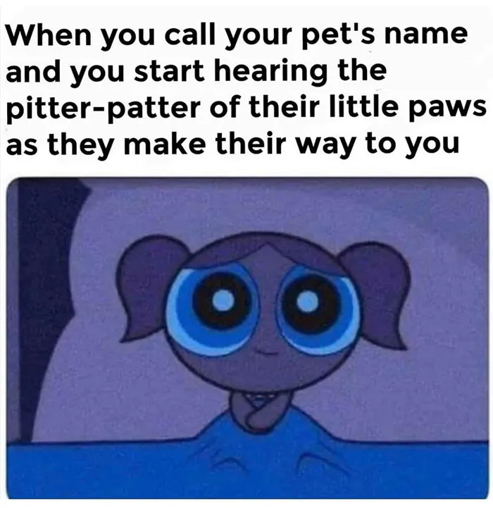 30 Wholesome Memes To Remind Us The World Isn’t All Bad