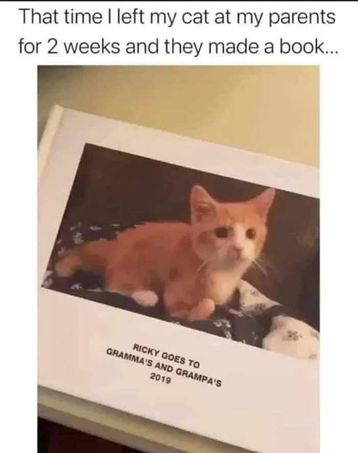 349312190 153885230883763 9191476491267416087 N 649Aa895044B0 700