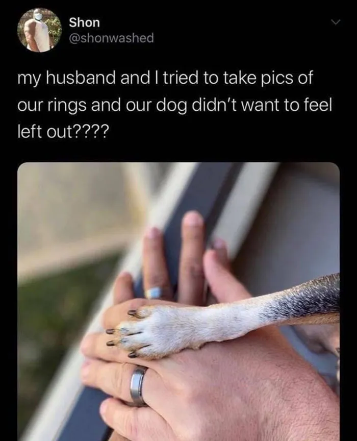 349831022 2951323084998004 5190062963746316105 N 649Aabade6538 700