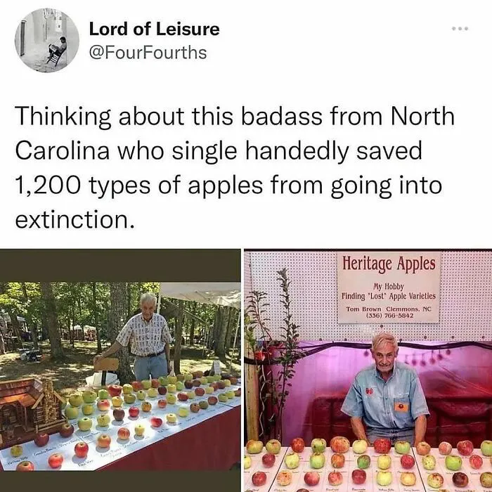 350335552 1443655356387463 881365606838781194 N 649Aaa8958D7F 700