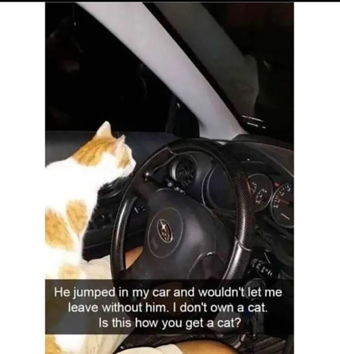 354557811 1123933441896215 6365053391249040541 N 649A9C1D6Ff1D 700