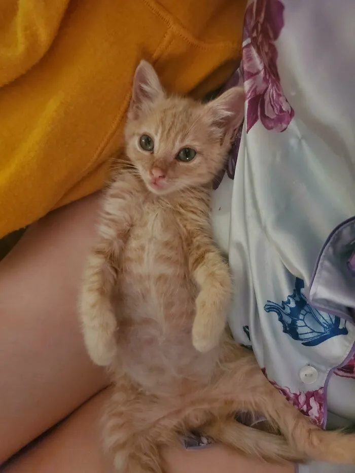 6492B3Bd5F9E8 A8Vadmtwg24B1 700 1