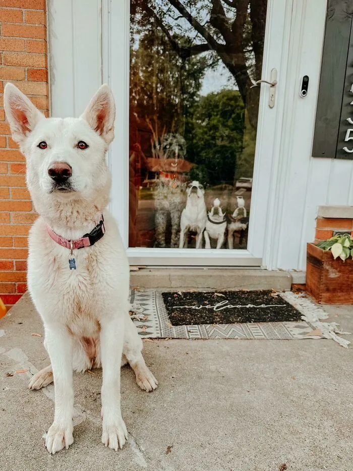 6492B4438Eca8 O7Xel30 700