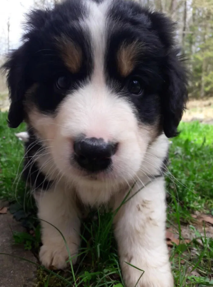 6492B4773Fc2F Uq3Rjc3Sne5B1 Png 700