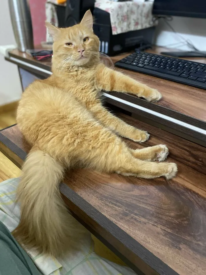 6492Bf9B18170 Fhy4Btw5Yu3B1 700