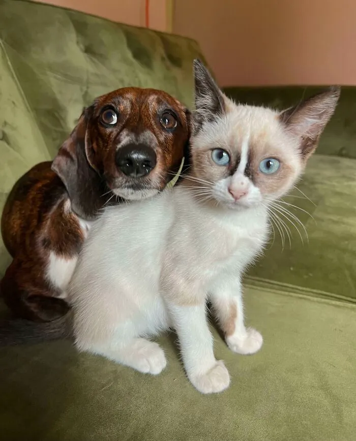 6492C3B0E6763 J23Q8Age497B1 700