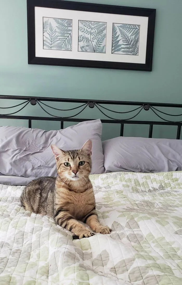 6492D9E62Bac4 O01D2Yp1Bf3B1 700