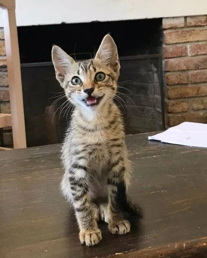 6492Dd7C8F05F 2Fqlfhmt836B1 700