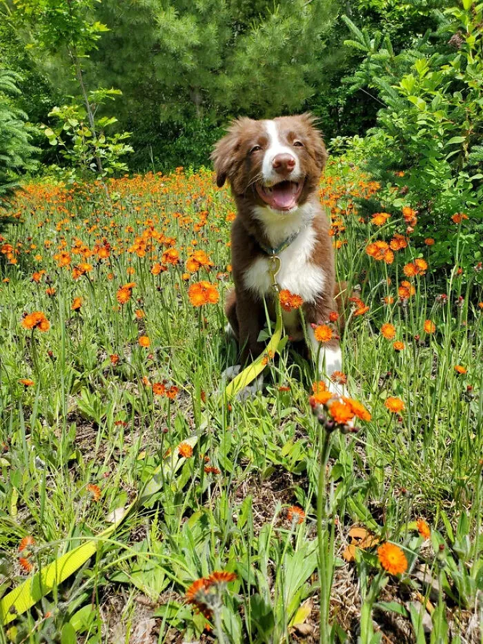 649A934742830 91Hi3Hkp208B1 Png 700