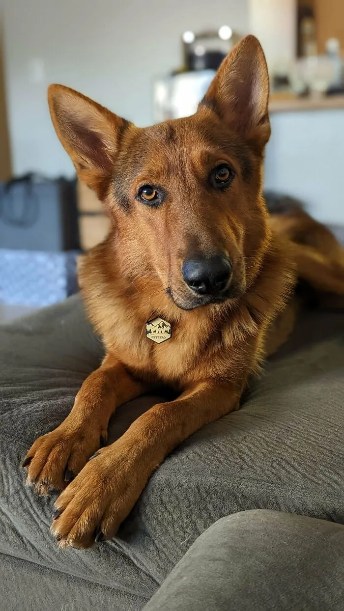 649Bd84275F76 Hmzaspd2166B1 700