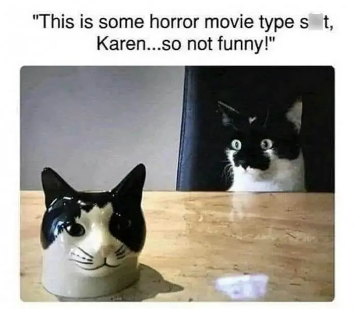 Funny Cute Cat Memes4 64A278D682F09 Censored 700