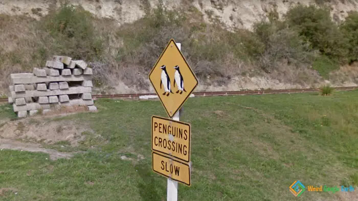 30 Hilarious And Absurd Moments Caught By Google Maps