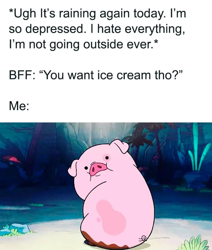 Ice Cream Memes 105 649D4A52Cf35B 700