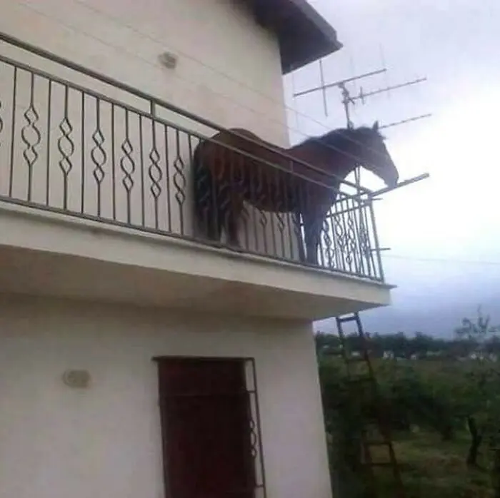30 Bizarre And Hilarious Pictures That Will Leave You Stunned