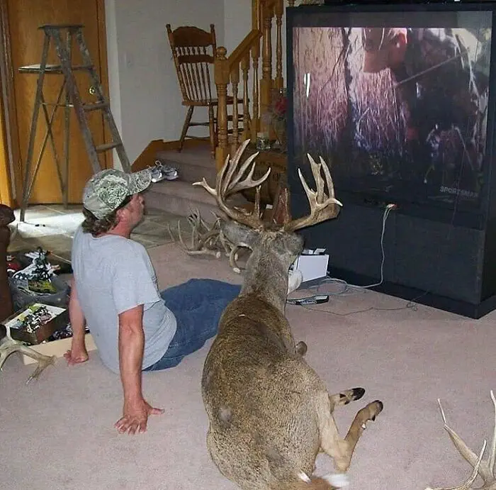 30 Bizarre And Hilarious Pictures That Will Leave You Stunned