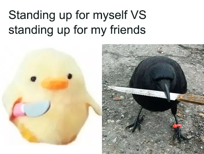 30 Relatable Memes That Describe A Friendship