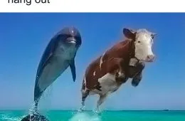 Cpp2K19Iuaq Png 700 64D368Eaca258 700 1