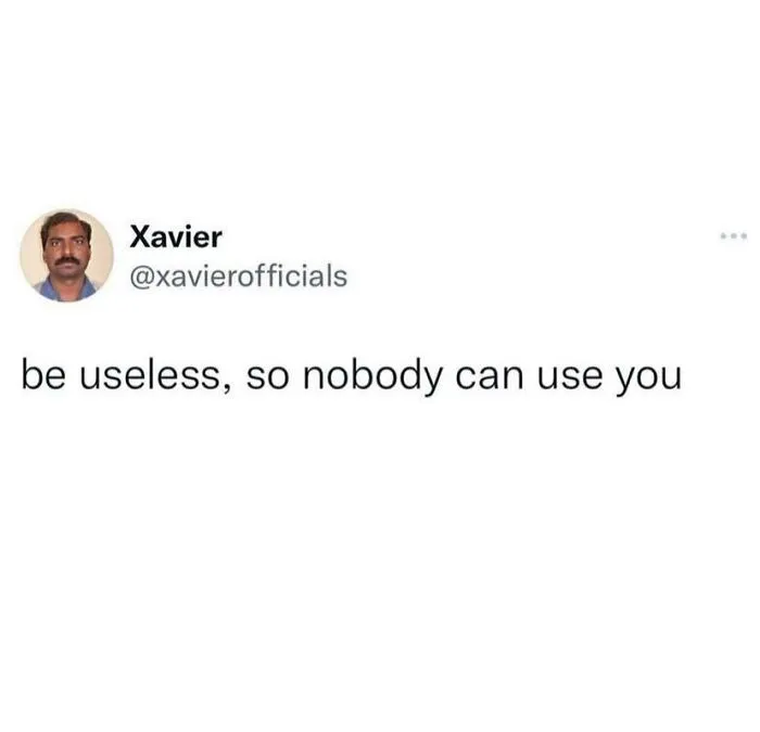 Funny Memes Idealist Xavier 64A66D9F954B4 700