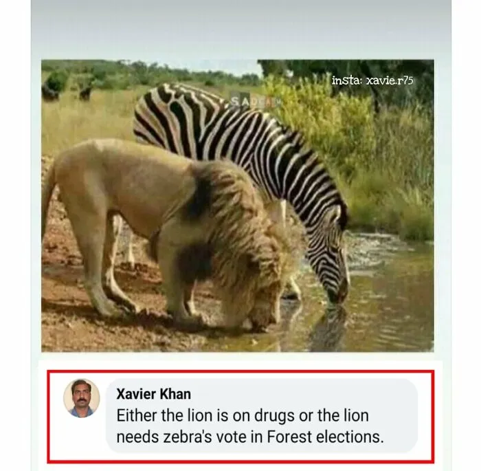 Funny Memes Idealist Xavier 64A6751Fe8411 700