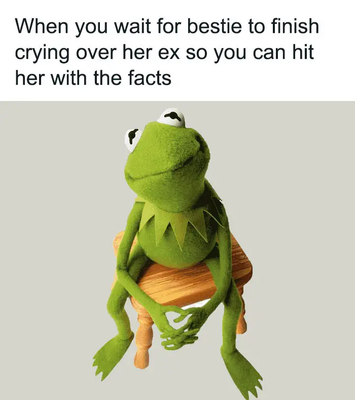 Funny Relatable Memes Mybestiesays 64D33Debccb11 700 64D365Df1E3Ce 700 64D47Bf24Fc0A 700 2