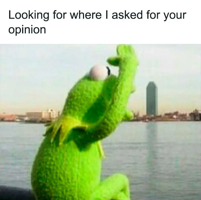 30 Funny Kermit The Frog Memes That Might Make Your Day