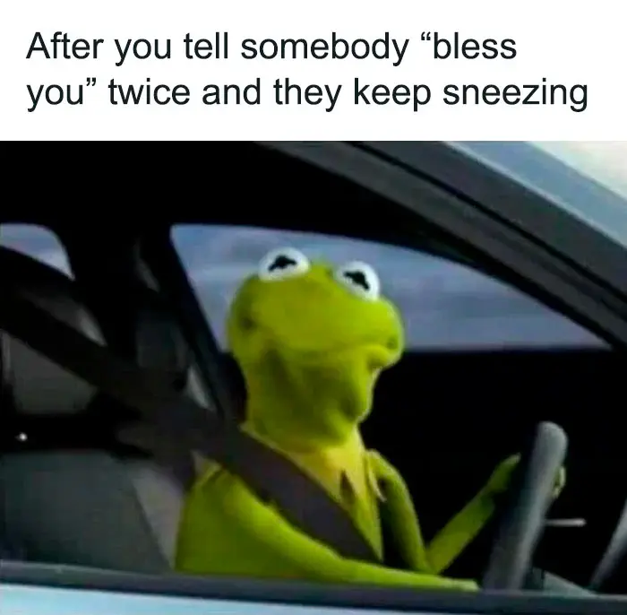 30 Funny Kermit The Frog Memes That Might Make Your Day