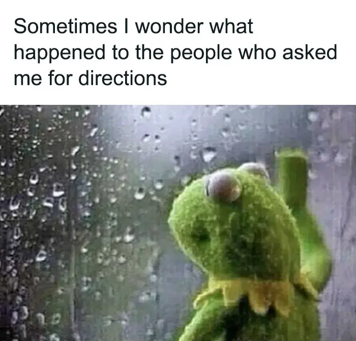 30 Funny Kermit The Frog Memes That Might Make Your Day