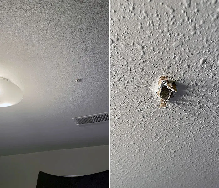 Unfortunate Fails Bad Day 31 64C27339243A2 700