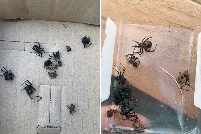 Unfortunate Fails Bad Day 318 64Cb9E3F71537 700