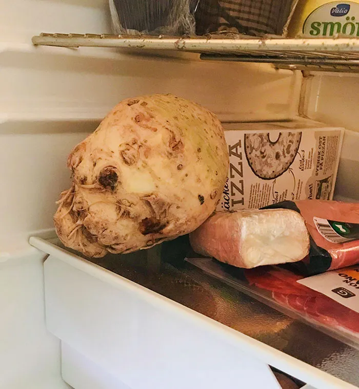 Unintentionally Creepy Jump Scare Photos 13 64E62D230A05B 700