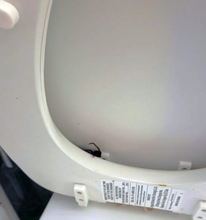 Unintentionally Creepy Jump Scare Photos 26 64Da0B7765372 700