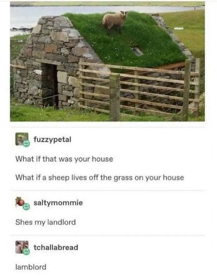 Very Clean Funny Pics Memes 64Ccb867B8868 700