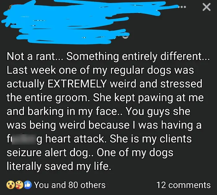 30 Memes That Dog Owners May Find Humorously Relatable