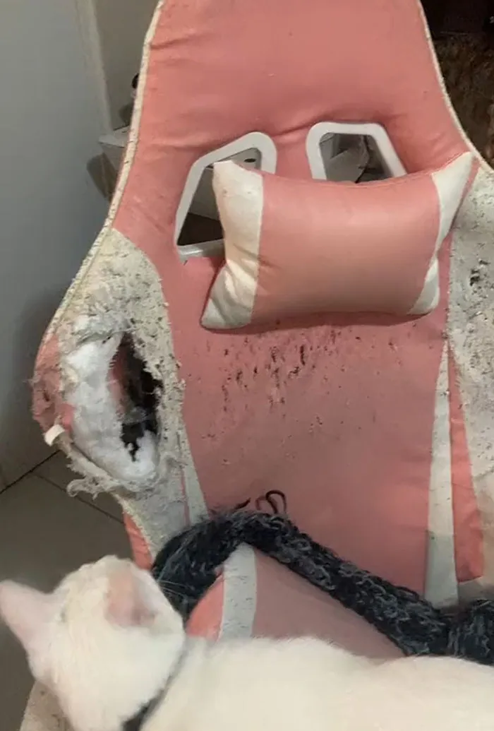 43 64F58D4Dd8Ebb 700