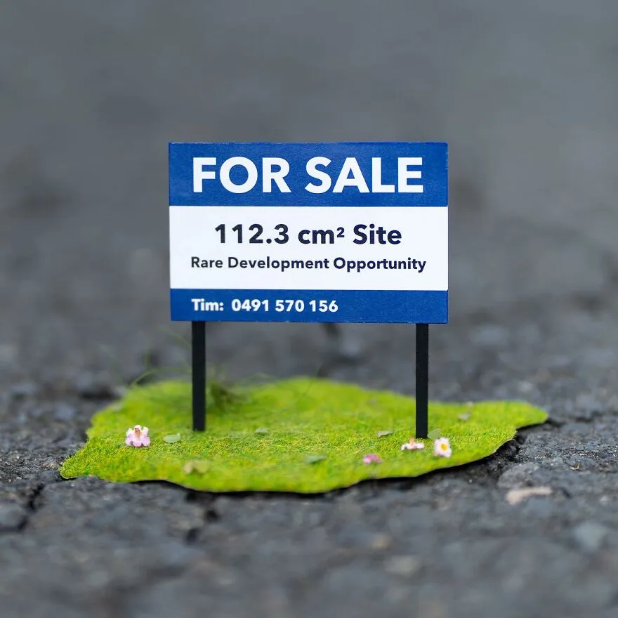 271807998 656305862158724 7696219185796806392 N 651B65Aa9Ea11 880