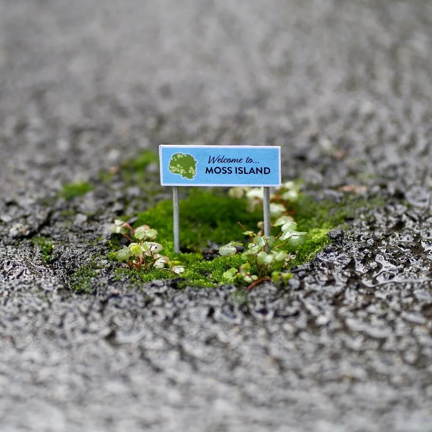 30 Astonishing City Signs Crafted By An Amazing Artist