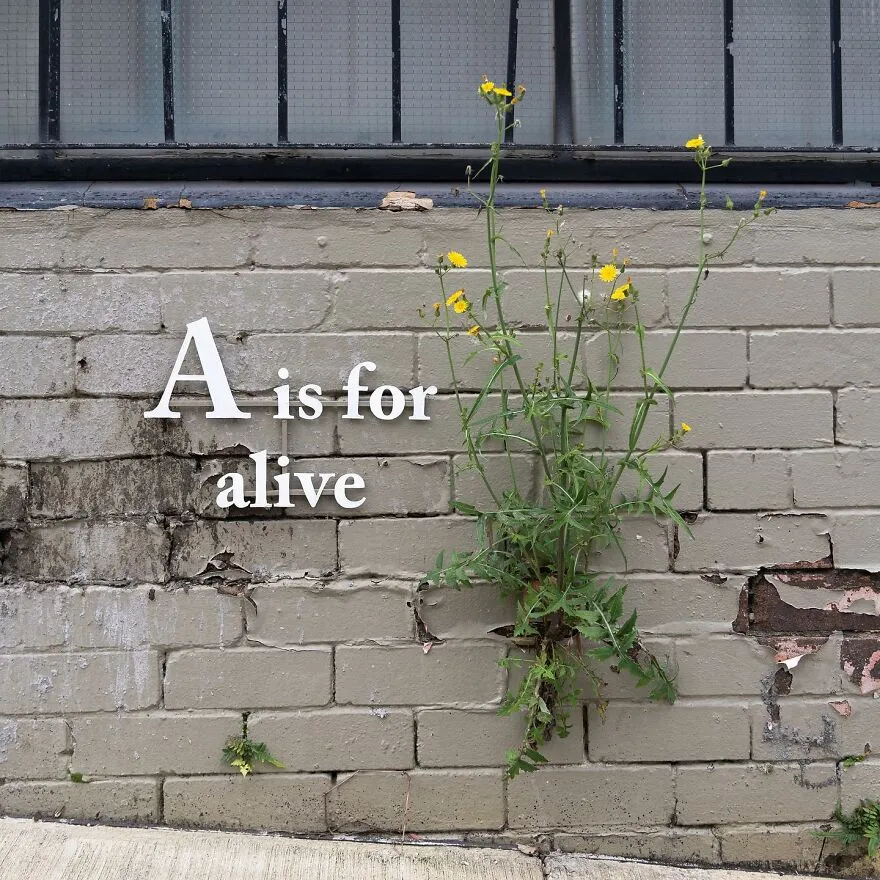 285143410 790464532360384 4332533951211754198 N 651B65Bca688B 880