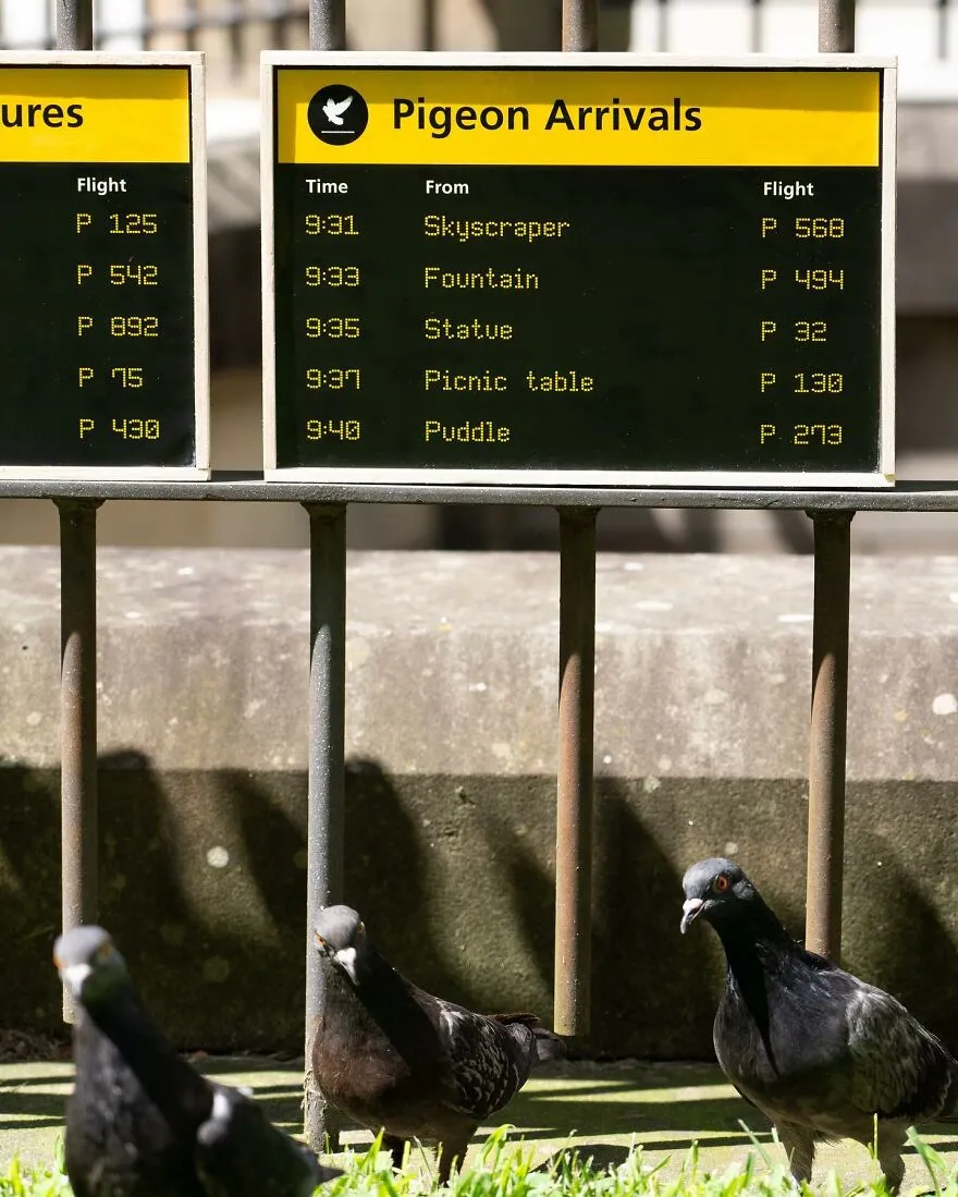 296583093 639628687766015 5100999784962545055 N 651B65C426D2F 880