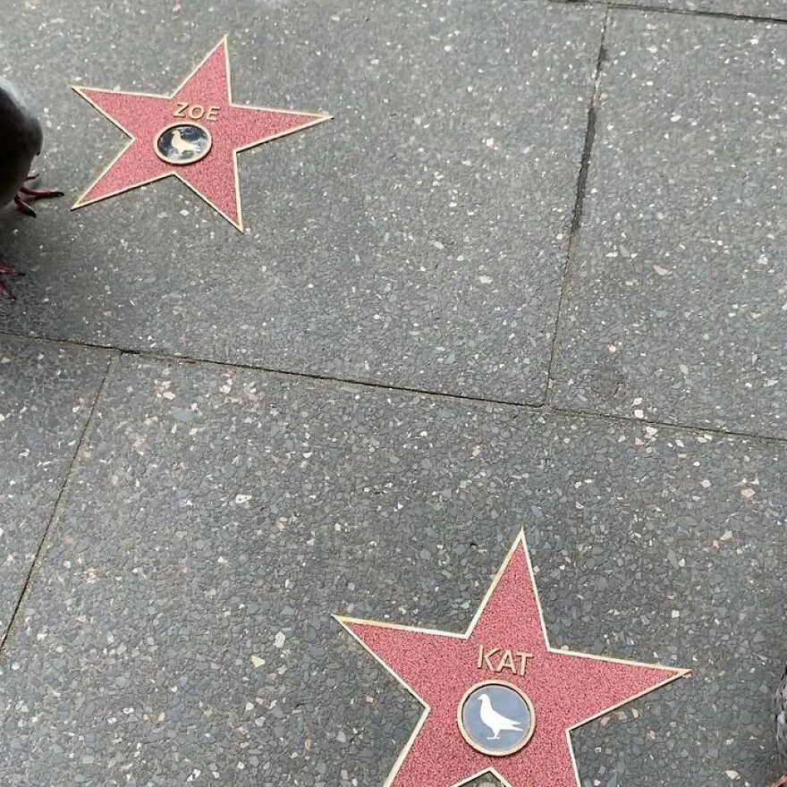 311073778 164430182924661 6620930454058652779 N 651B65D0Efae8 880