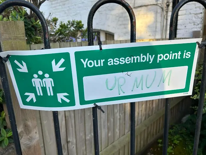 362964098 10168439316860571 8181044423536430182 N 64D336F110Cb6 700