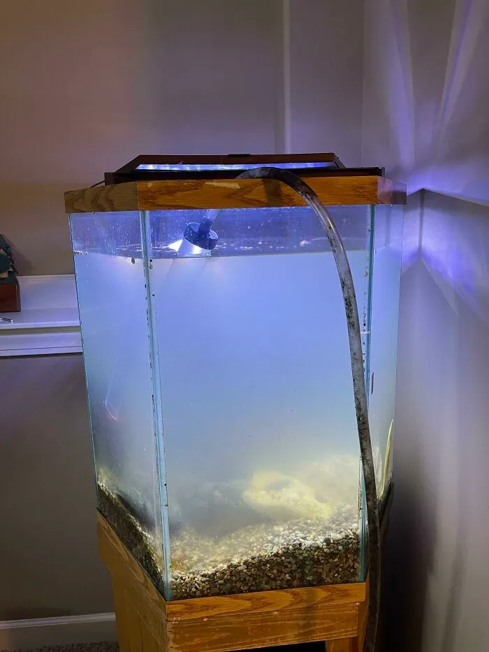 30 Unfortunate Neighbors Of Truly Terrible People